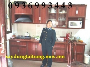 tủ bếp nhôm vân gỗ